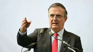 M&eacute;xico celebra su relaci&oacute;n comercial "preferencial" con EEUU tras la renovaci&oacute;n del acuerdo