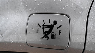 Codacons, il taglio delle accise deve essere almeno di 20 centesimi