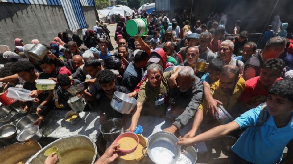 El hambre aguda golpe&oacute; a 295 millones de personas en 2024, advierte un informe