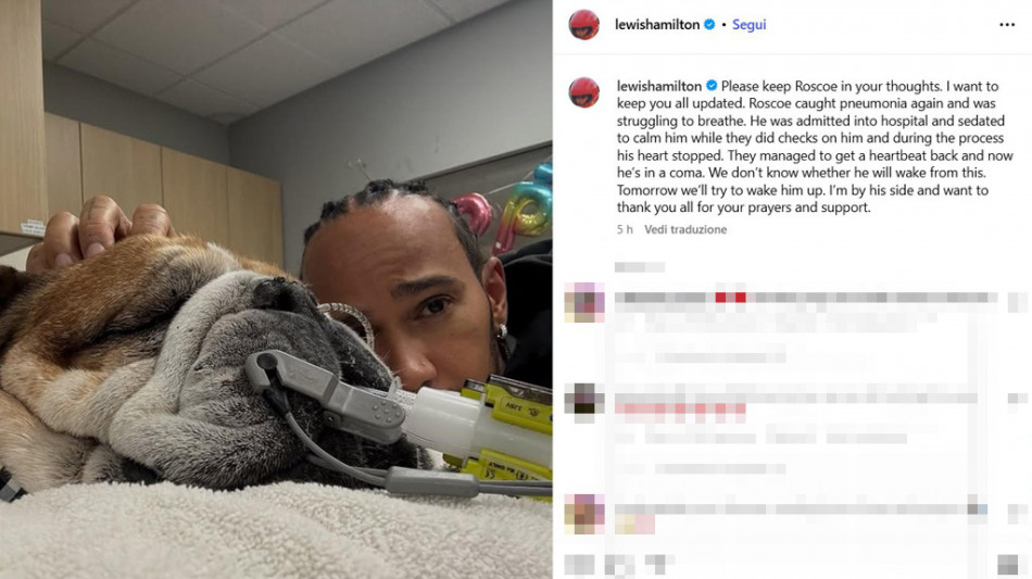 F1: addio Hamilton al cane, "Addormentarlo decisione pi&ugrave; dura"