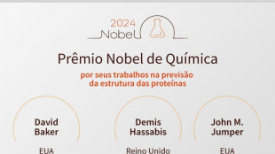 Cria&ccedil;&atilde;o de novas prote&iacute;nas, um campo promissor contemplado com o Nobel de Qu&iacute;mica