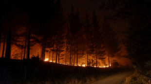 Chile lucha contra incendios que se cobran 20 vidas y avanzan hacia el sur del pa&iacute;s