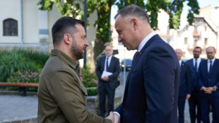 Zelensky eyes 'best possible result' from NATO summit