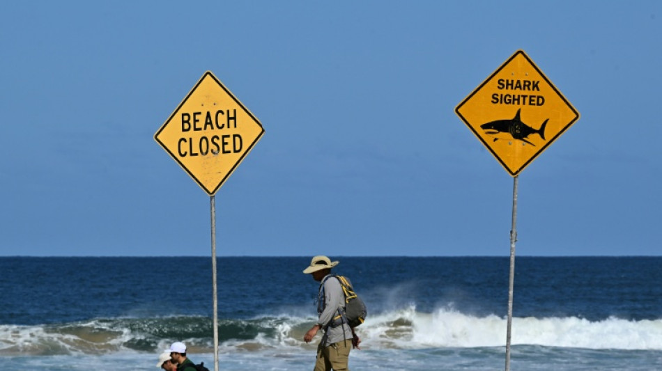 Mulher morre e homem fica ferido em ataque de tubarão na Austrália