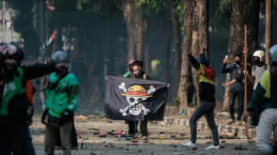 Hoist the jolly manga: Gen Z protesters rally to One Piece pirate flag