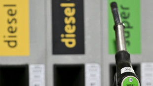 Kartellamtspr&auml;sident pocht auf schnell sinkende Spritpreise 