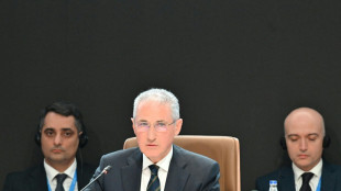 Los principales acuerdos de la COP29 de Bak&uacute;