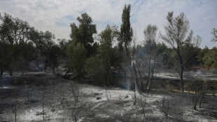 El calor que asola a Europa deja un muerto en un incendio en España y sequía en Inglaterra
