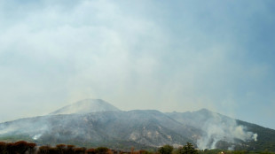 Italy's Mount Vesuvius closed to tourists over wildfire