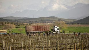 Los granjeros blancos sudafricanos que defiende Trump, primeras víctimas de sus aranceles
