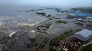 Russia relieved as tsunami spares far east from major damage