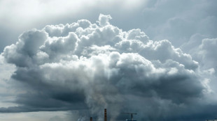 Indonesia seizes part of nickel site over forest violations
