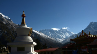 Umstrittener Rekordversuch: Britische Ex-Elitesoldaten besteigen Mount Everest