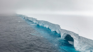 "Dramatique mais pas sans pr&eacute;c&eacute;dent": le plus grand iceberg au monde menace manchots et otaries