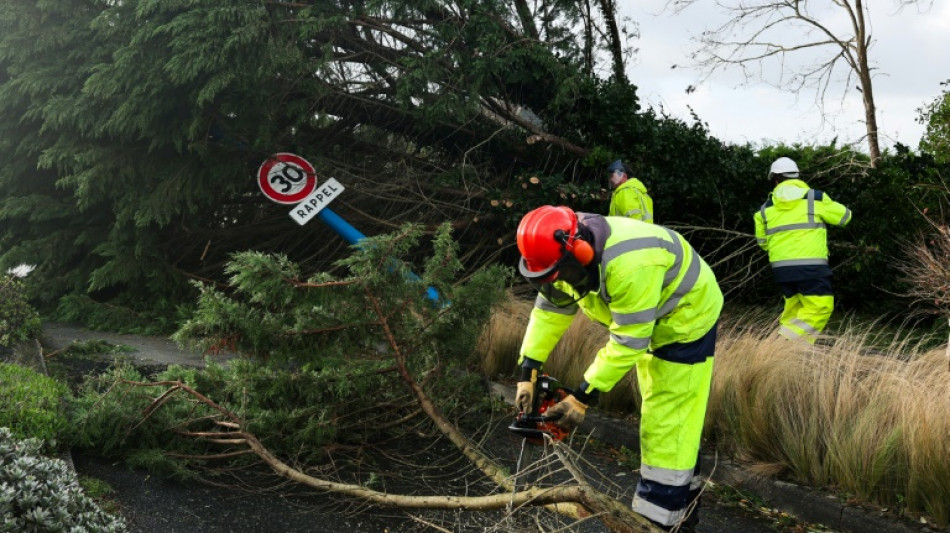Las aseguradoras estiman en 1.300 millones de euros los da&ntilde;os en Francia por las tormentas