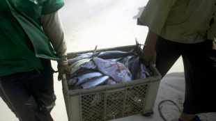 UN court rejects Nicaragua claims in Colombia sea row