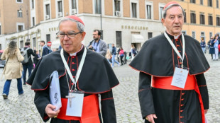 Cardeais se re&uacute;nem para definir data do conclave que escolher&aacute; sucessor de Francisco