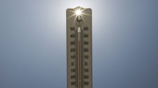 Record number of locations in France top 40C over summer: AFP analysis