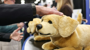 B&uuml;hne f&uuml;r die K&uuml;nstliche Intelligenz: Technikmesse CES startet in Las Vegas