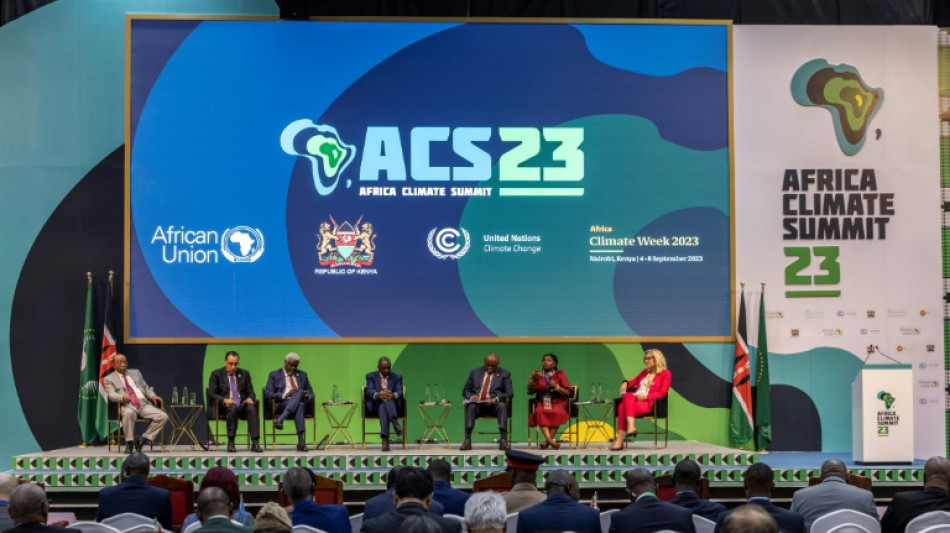 Klima-Beauftragte: Afrika-Gipfel wichtiger Schritt f&uuml;r Erfolg der UN-Klimakonferenz