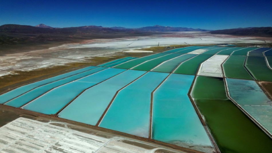 Risiken "so hoch wie nie": Industrie beklagt Deutschlands Rohstoffabh&auml;ngigkeit 