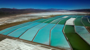 Risiken "so hoch wie nie": Industrie beklagt Deutschlands Rohstoffabh&auml;ngigkeit 