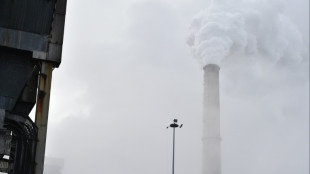 Climat: l'UE finalise les modalit&eacute;s d'une "taxe carbone" &agrave; ses fronti&egrave;res