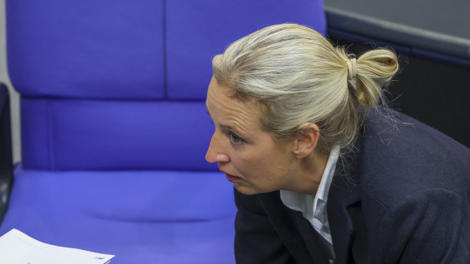 Afd, Merz si faccia da parte, servono elezioni anticipate