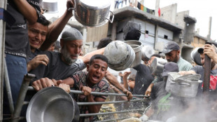 Le Hamas appelle &agrave; faire pression sur Isra&euml;l, 88 morts &agrave; Gaza selon les secours