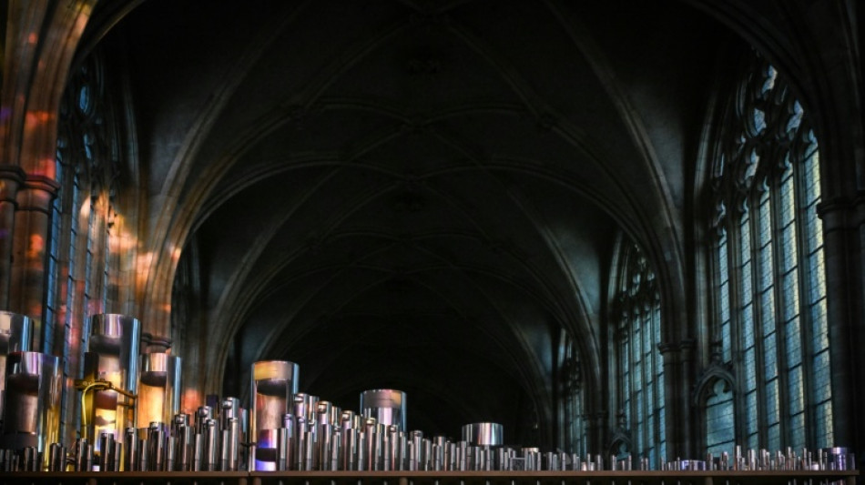 Prague cathedral's long-awaited organ to pipe up in 2026