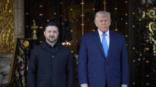 Zelensky, nel piano garanzie di sicurezza Usa per 15 anni prolungabili