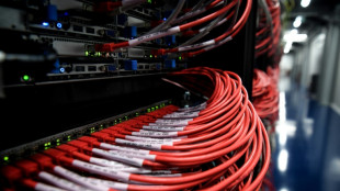 Sabotage du r&eacute;seau internet: l'enjeu critique de la s&eacute;curit&eacute; des infrastructures 