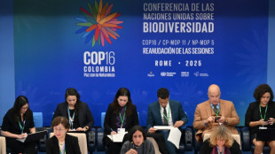 COP16: le monde reprend &agrave; Rome l'&acirc;pre d&eacute;bat pour financer la sauvegarde de la nature