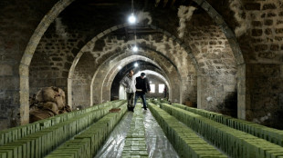 Sak&eacute;, henn&eacute; ou savon d'Alep: des traditions bient&ocirc;t au patrimoine immat&eacute;riel de l'Unesco