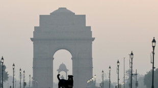 India ordena capturar decenas de miles de perros callejeros en Nueva Delhi