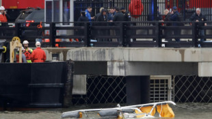 Tourist family, pilot killed in 'tragic' NY helicopter crash