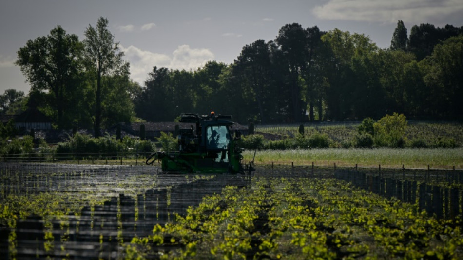 El vino europeo es el m&aacute;s afectado por el calentamiento global, seg&uacute;n un estudio