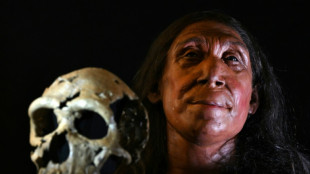 Cientistas brit&acirc;nicos reconstroem o rosto de mulher neandertal