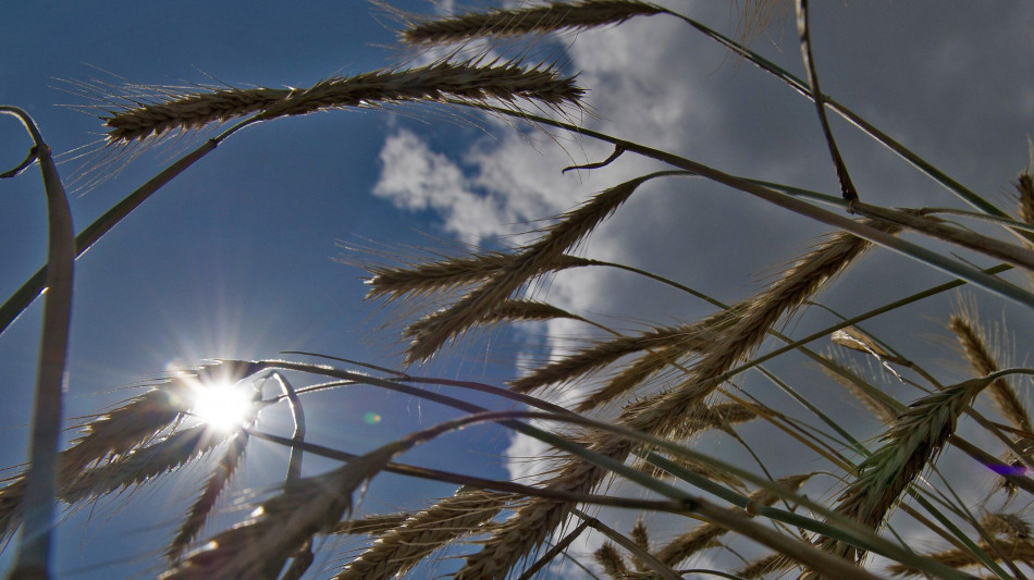 Primo weekend di maggio dal caldo estivo a forti temporali