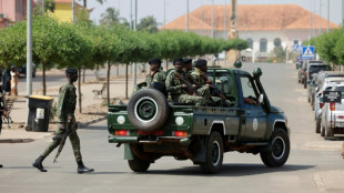 G.Bissau rocked by coup, president's arrest