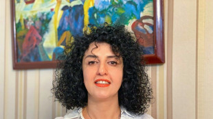 La nobel iran&iacute; Mohammadi, "entre la vida y la muerte" tras ser hospitalizada