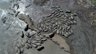 El calentamiento clim&aacute;tico aumenta a un "ritmo sin precedentes", alertan cient&iacute;ficos