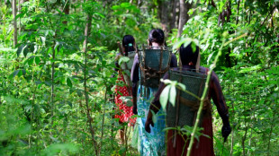 La deforestaci&oacute;n cae en todos los biomas de Brasil por primera vez en seis a&ntilde;os