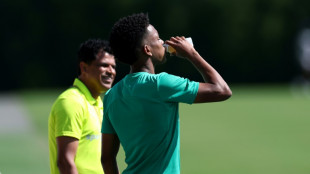 Palmeiras ask for 'amazing game' from Estevao against future employers Chelsea