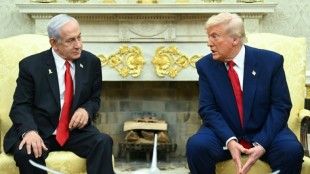 Trump pressionar&aacute; Netanyahu sobre plano de paz para Gaza
