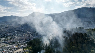 Inc&ecirc;ndio florestal provoca alerta em colina tur&iacute;stica de Quito