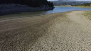 R&eacute;seau v&eacute;tuste et changement climatique, la Bulgarie manque d'eau