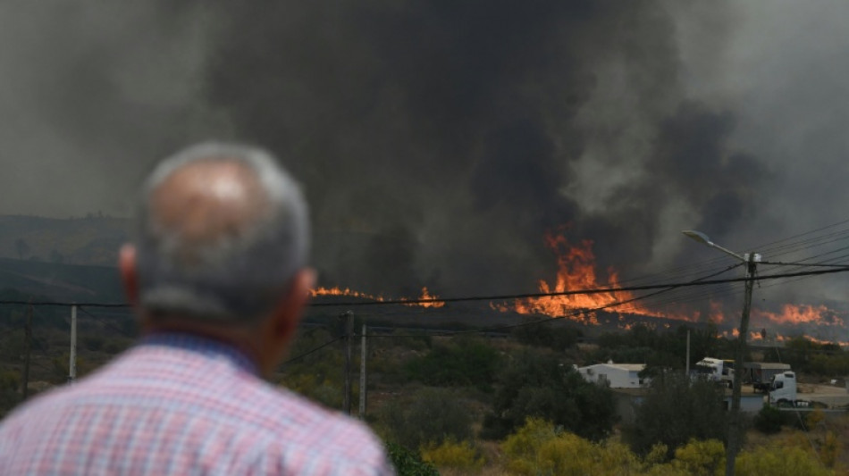 Foreigners among 12 dead in Spanish wildfire