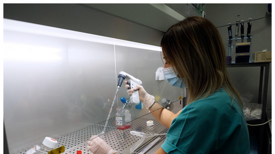 La scienza cerca regole sulla vita nata in laboratorio