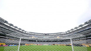 Passagens de trem de Nova York para o est&aacute;dio de Nova Jersey ser&atilde;o 12 vezes mais caras durante a Copa